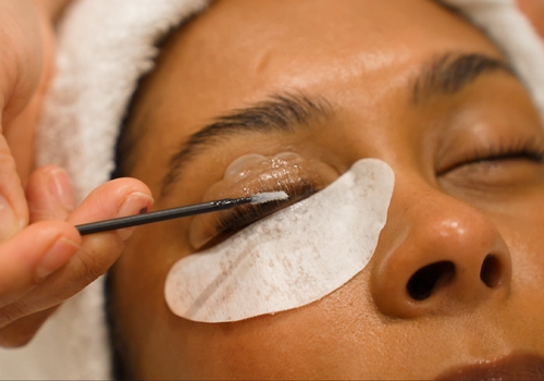 Dante Wellness Brow Lamination